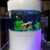 fish tanks for sale, fish tank for sale, fish tanks for sale near me, used fish tanks for sale, fish tank for sale near me, large fish tanks for sale, fish tank animals for sale, used aquarium fish tanks for sale, big fish tanks for sale, fish tank plants for sale, used fish tanks aquariums for sale, used fish tanks for sale near me, 125 gallon fish tank for sale, 75 gallon fish tank for sale, large fish tank for sale, 100 gallon fish tank for sale, aquarium fish tanks for sale, cheap fish tanks for sale, fish tank and stand for sale, fish tank stand for sale, for sale fish tank, 55 gallon fish tank for sale, fish and tanks for sale, fish tank stands for sale, saltwater fish tank for sale, 150 gallon fish tank for sale, 20 gallon fish tank for sale, acrylic fish tank for sale, fish tank and stand combo for sale, huge fish tank for sale, 300 gallon fish tank for sale, 40 gallon fish tank for sale, 90 gallon fish tank for sale, aquarium fish tank for sale, fish tank acrylic for sale, fish tank kits for sale, fish tanks aquariums for sale, fish with tank for sale, second hand fish tanks for sale, used fish tank for sale, used fish tank for sale near me, 120 gallon fish tank for sale, 30 gallon fish tank for sale, 50 gallon fish tank for sale, corner fish tanks for sale, fish tank 55 gallon for sale, glass fish tanks for sale, massive fish tank for sale, reef fish tanks for sale, 10 gallon fish tank for sale,