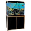 100 gallon fish tank for sale, 100 gallon fish tanks for sale, 100 gallon fish tank for sale near me, fish tank 100 gallon for sale, $100 gallon fish tank for sale - craigslist, 100 gallon acrylic fish tank for sale, 100 gallon fish tank and stand for sale, 100 gallon fish tank stand for sale, 100 gallon fish tank with stand for sale, 100 gallon fish tanks for sale cheap, 100 gallon glass fish tank for sale, 100 gallon saltwater fish tank for sale, used 100 gallon fish tanks for sale, 100 gallon corner fish tank for sale, 100 gallon fish tank for sale craigslist, 100 gallon fish tank filter for sale, 100 gallon fish tank for sale canada, 100 gallon fish tank for sale cheap, 100 gallon fish tank for sale ebay, 100 gallon fish tank for sale las vegas, 100 gallon fish tank for sale lasvegas, 100 gallon fish tank for sale milwaukee wisconsin, 100 gallon fish tank for sale ottawa, 100 gallon fish tank for sale uk, 100 gallon fish tank for sale used, 100 gallon fish tank freshwater for sale, 100 gallon fish tank full set up for sale, 100 gallon fish tank hood for sale, 100 gallon fish tank setup for sale, 100 gallon fish tanks for sale near me, 100 gallon fish tanks for sale nevada, 100 gallon freshwater fish tank for sale, 100 gallon hexagon fish tank for sale, 100 gallon long fish tank for sale, 100 gallon saltwater fish tanks for sale, 100 gallon tall fish tank for sale, 100 gallon used fish tank for sale, 100 gallon uses fish tank for sale, 100 gallon+ fish tanks for sale, 100 gallons plus fish tanks for sale near me, aquariums for sale 100+ gallon fish tanks, cheap 100 gallon fish tank for sale, fish tank for sale 100 gallon, fish tanks for sale 100 gallon, used 100 gallon fish tank for sale, used 100 gallon fish tanks for sale for under 100, used acrylic 100 gallon fish tank for sale,