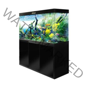 FISH TANK FOR SALE