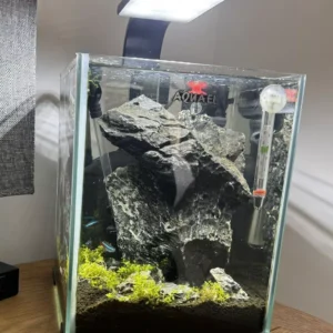 used fish tanks for sale, used aquarium fish tanks for sale, used fish tanks aquariums for sale, used fish tanks for sale near me, used fish tank for sale, used 200 gallon fish tank for sale, used fish tank for sale near me, used 300 gallon fish tank for sale, used large fish tanks for sale, used 125 gallon fish tank for sale, used 150 gallon fish tank for sale, used big fish tanks for sale, used fish tanks for sale craigslist, used fish tanks for sale on craigslist, used saltwater fish tanks for sale, fish tank used for sale, used 180 gallon fish tank for sale, used acrylic fish tank for sale, fish tanks for sale used, used 55 gallon fish tank for sale near me, used 220 gallon fish tank for sale, used 90 gallon fish tank for sale, used fish store display tanks for sale, used fish tank filters for sale, 75 gallon fish tank for sale used, cheap used fish tanks for sale, red sea fish tanks for sale used, used 10 gallon fish tank for sale, used 100 gallon fish tanks for sale, used 1000 gallon fish tank for sale, used 110 gallon fish tank for sale, used 120 gallon fish tank for sale, used 125 gallon fish tank for sale near me, used 20 gallon fish tank for sale, used 250 gallon fish tank for sale, used 30 gallon fish tank for sale, used 300 gallon fish tank for sale near me, used 40 gallon fish tank for sale, used 400 gallon fish tank for sale, used 5 gallon fish tank for sale, used 50 gallon fish tank for sale, used 500 gallon fish tank for sale, used 55 gallon fish tank for sale, used 55 gallon fish tank stand for sale, used 75 gallon fish tank for sale, used biorb fish tank for sale, used coffee table fish tank for sale, used commercial fish tanks for sale, used corner fish tanks for sale, used cylinder fish tank for sale,