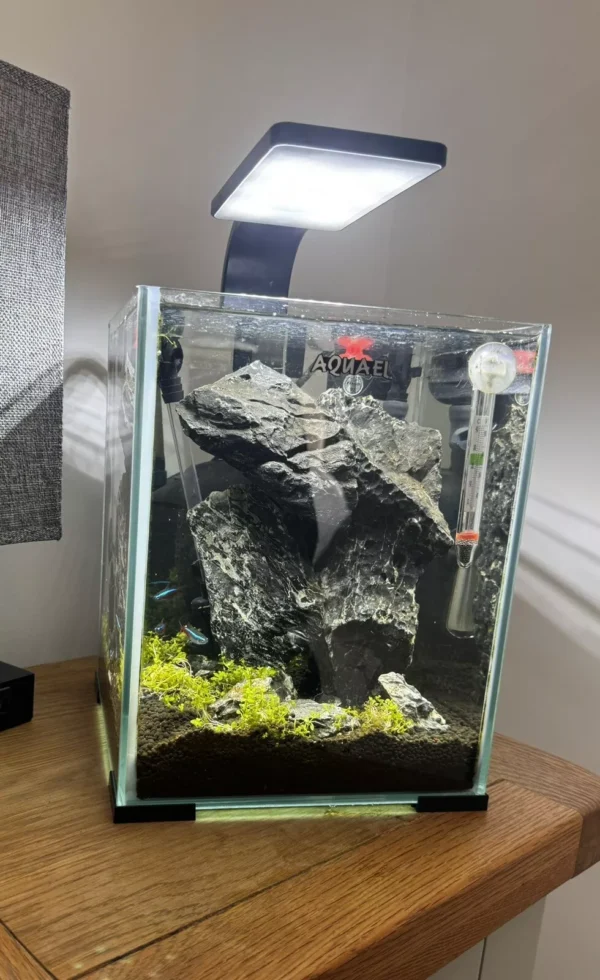 used fish tanks for sale, used aquarium fish tanks for sale, used fish tanks aquariums for sale, used fish tanks for sale near me, used fish tank for sale, used 200 gallon fish tank for sale, used fish tank for sale near me, used 300 gallon fish tank for sale, used large fish tanks for sale, used 125 gallon fish tank for sale, used 150 gallon fish tank for sale, used big fish tanks for sale, used fish tanks for sale craigslist, used fish tanks for sale on craigslist, used saltwater fish tanks for sale, fish tank used for sale, used 180 gallon fish tank for sale, used acrylic fish tank for sale, fish tanks for sale used, used 55 gallon fish tank for sale near me, used 220 gallon fish tank for sale, used 90 gallon fish tank for sale, used fish store display tanks for sale, used fish tank filters for sale, 75 gallon fish tank for sale used, cheap used fish tanks for sale, red sea fish tanks for sale used, used 10 gallon fish tank for sale, used 100 gallon fish tanks for sale, used 1000 gallon fish tank for sale, used 110 gallon fish tank for sale, used 120 gallon fish tank for sale, used 125 gallon fish tank for sale near me, used 20 gallon fish tank for sale, used 250 gallon fish tank for sale, used 30 gallon fish tank for sale, used 300 gallon fish tank for sale near me, used 40 gallon fish tank for sale, used 400 gallon fish tank for sale, used 5 gallon fish tank for sale, used 50 gallon fish tank for sale, used 500 gallon fish tank for sale, used 55 gallon fish tank for sale, used 55 gallon fish tank stand for sale, used 75 gallon fish tank for sale, used biorb fish tank for sale, used coffee table fish tank for sale, used commercial fish tanks for sale, used corner fish tanks for sale, used cylinder fish tank for sale,